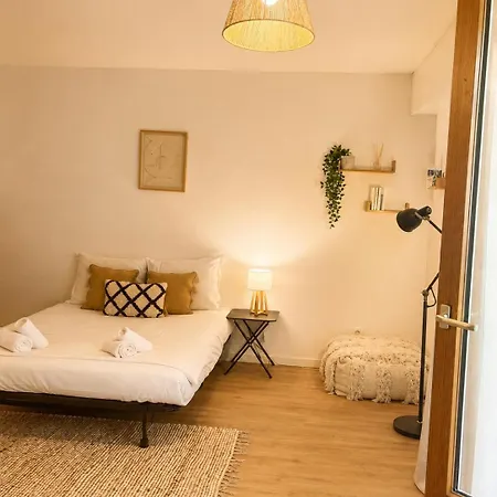 Petit Cocon Au Bord De L'erdre-hyper Centre Apartamento
